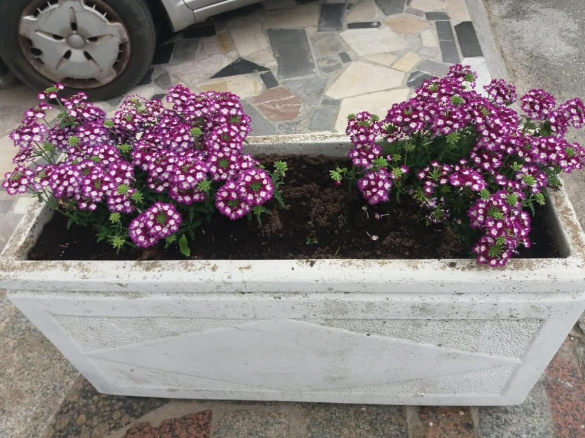 גיארדיני נאקסוס Appartamenti Naxos מראה חיצוני תמונה